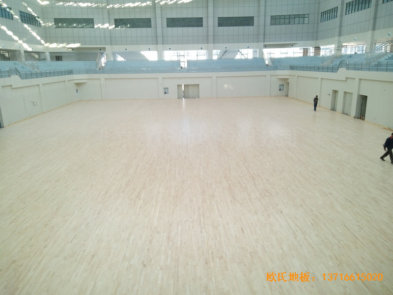 云南紅河州財經大學體育館體育木地板鋪設案例4