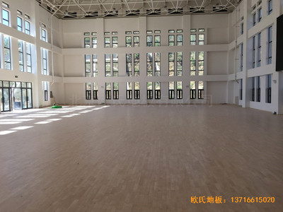 河南南陽南召縣天池電站運(yùn)動(dòng)館運(yùn)動(dòng)地板鋪裝案例