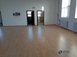 普通體育運(yùn)動(dòng)木地板施工方案