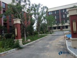 定做運(yùn)動體育木地板行業(yè)品牌